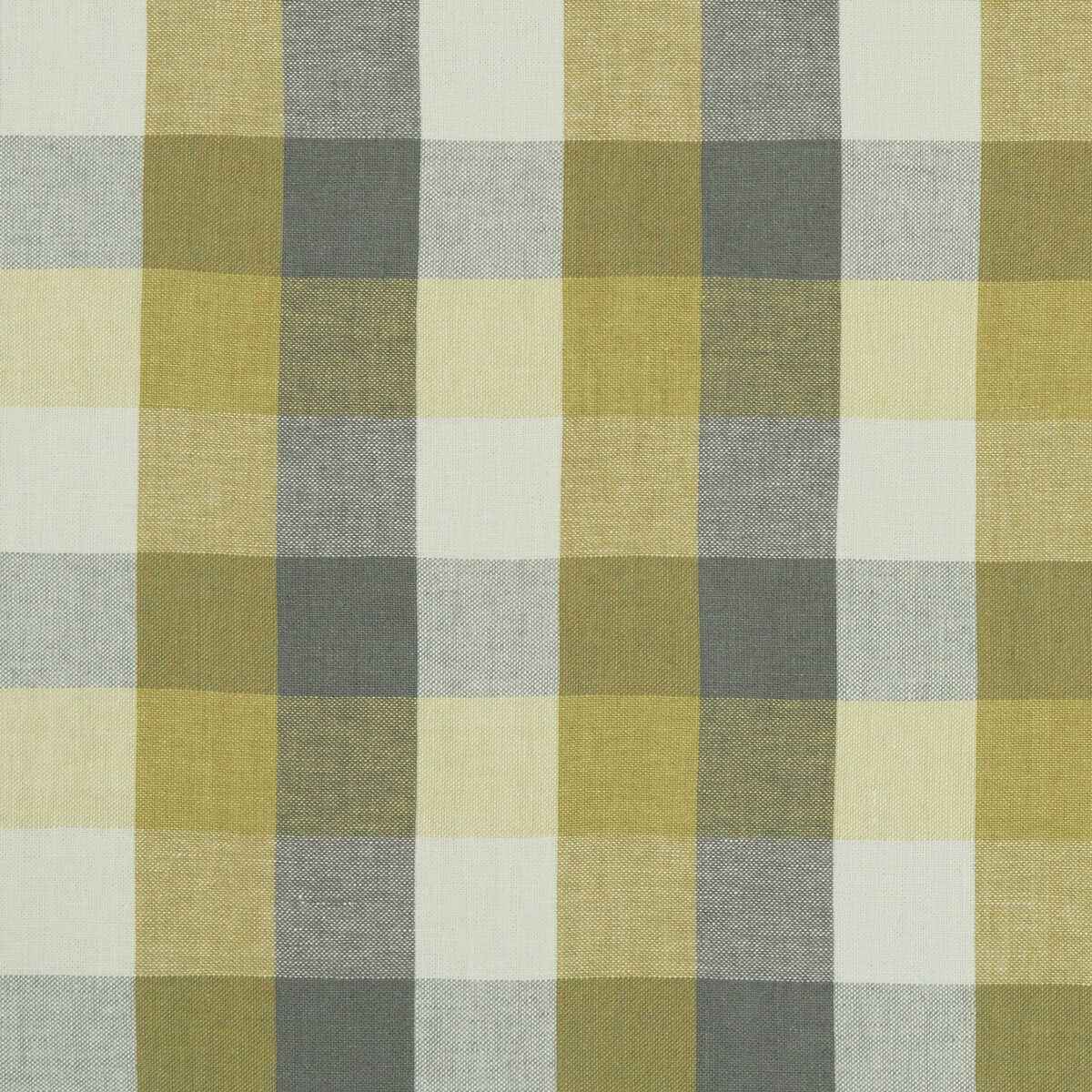 F104202cac0 Austin Check Citron Natural Clarke And Clarke Fabric