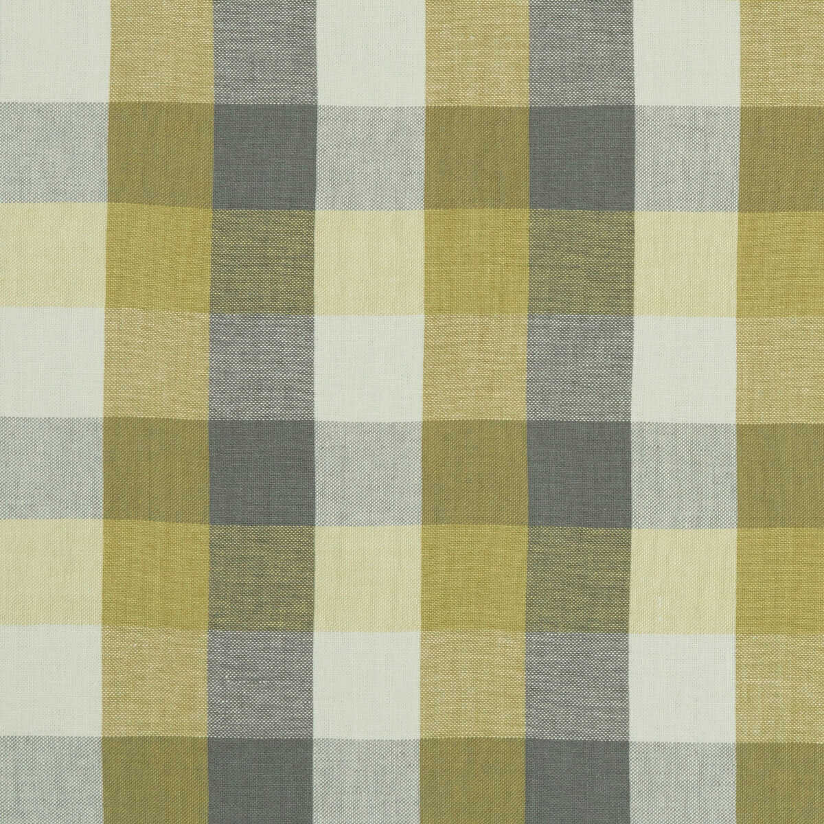 Austin Check - Citron/Natural - CLARKE AND CLARKE Fabric