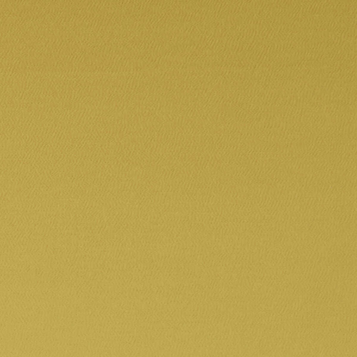 Spectrum - Dijon