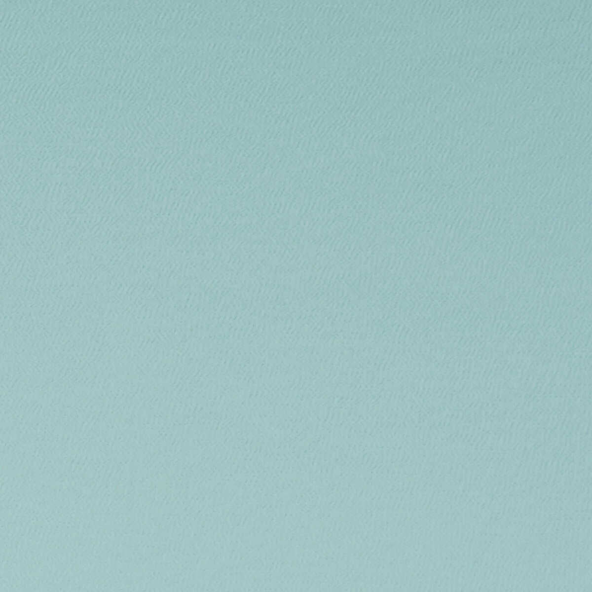 Spectrum - Duckegg