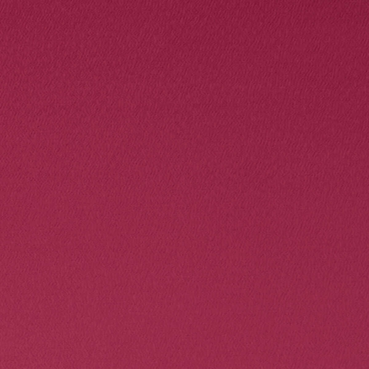 Spectrum - Fuchsia