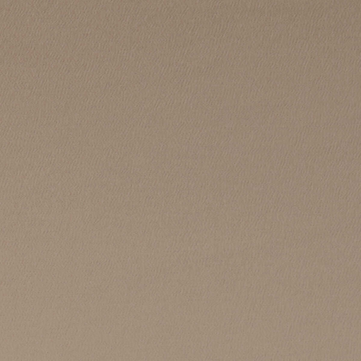 Spectrum - Truffle