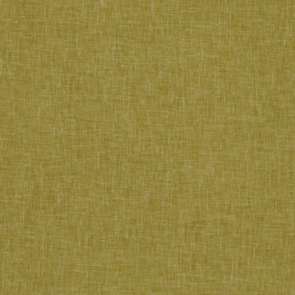 Midori - Gold