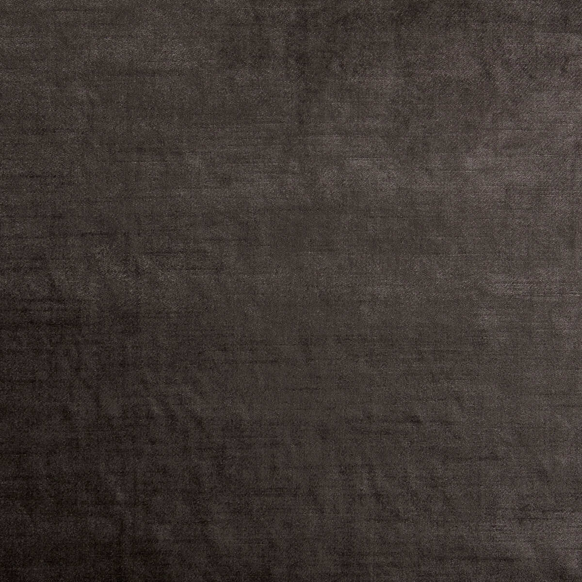Allure - Espresso - CLARKE AND CLARKE Fabric