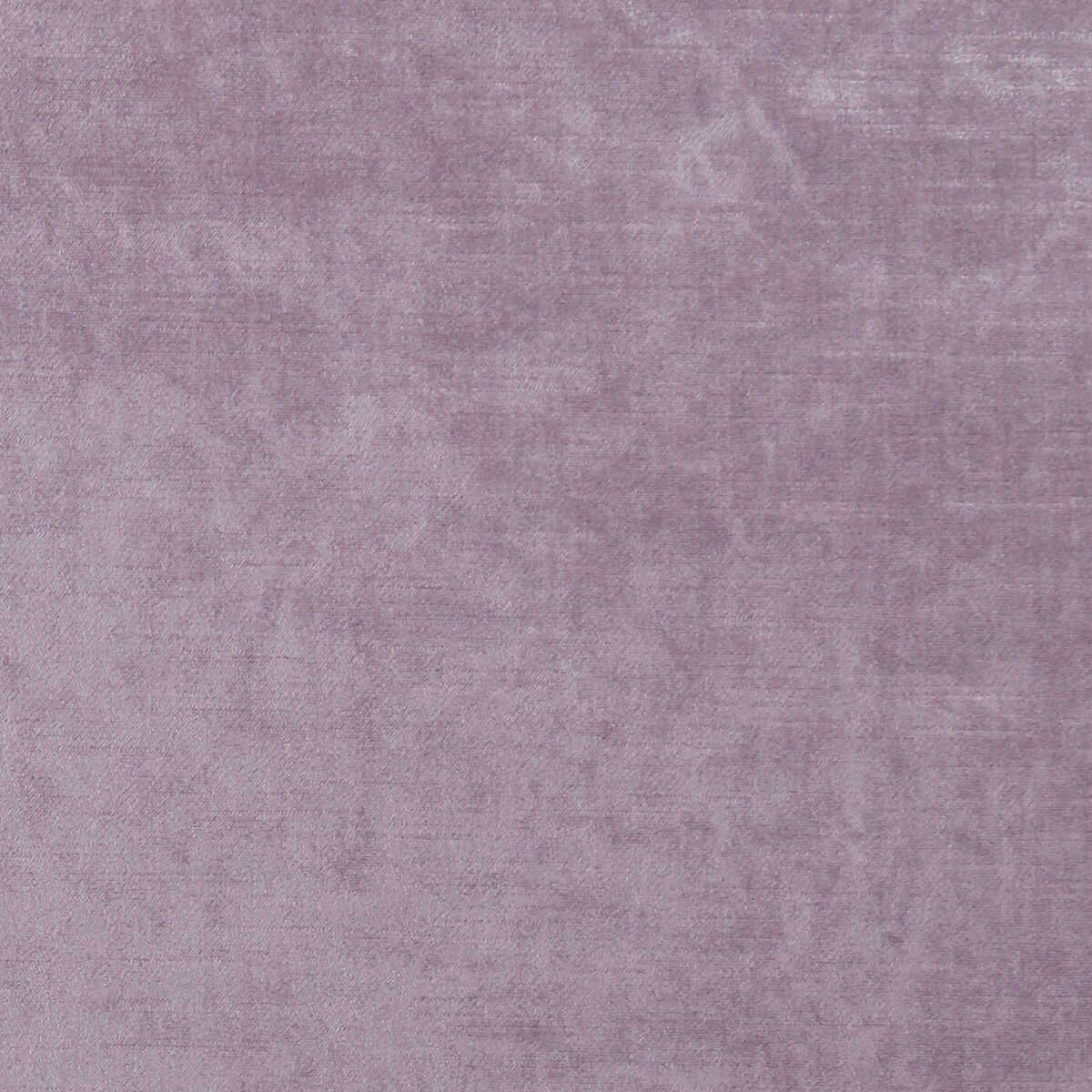 Allure - Heather