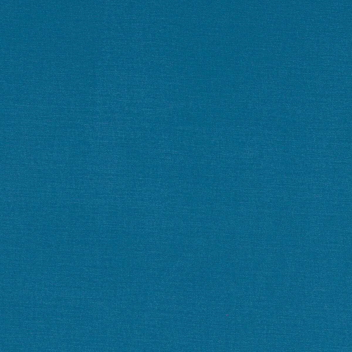 Alora - Bluejay