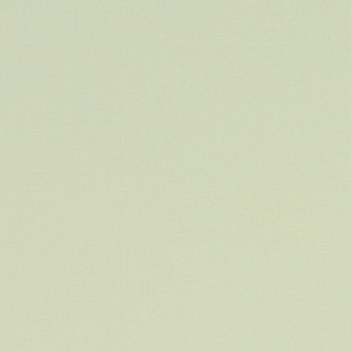 Alora - Celadon