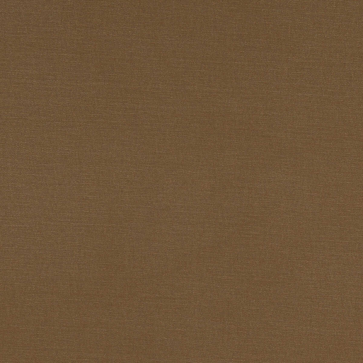 Alora - Cocoa