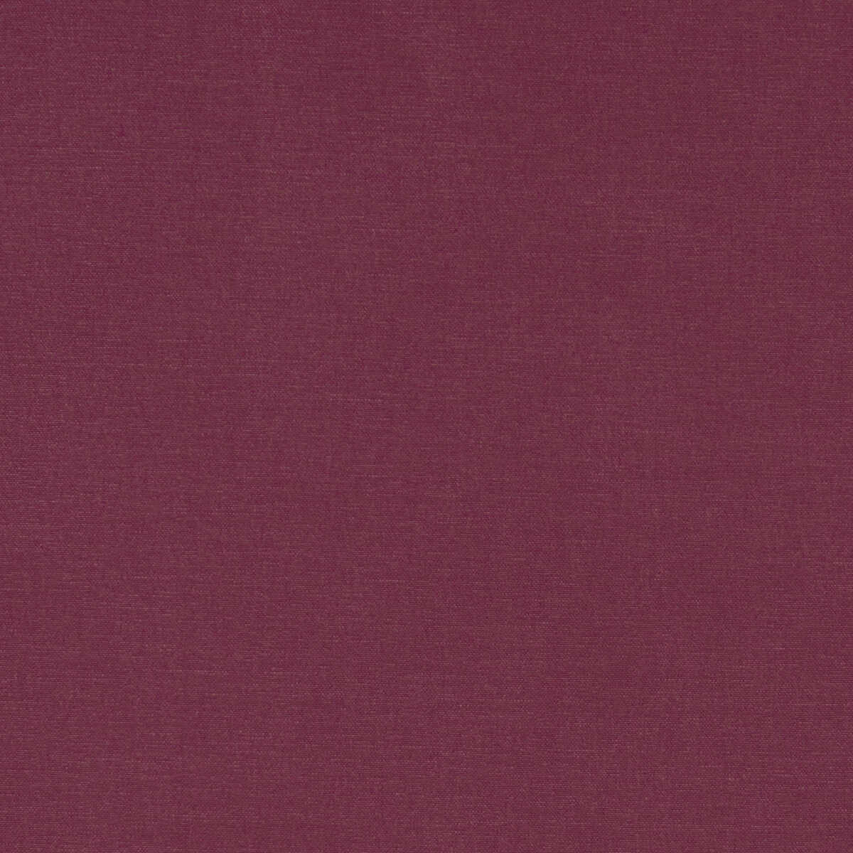 Alora - Grape