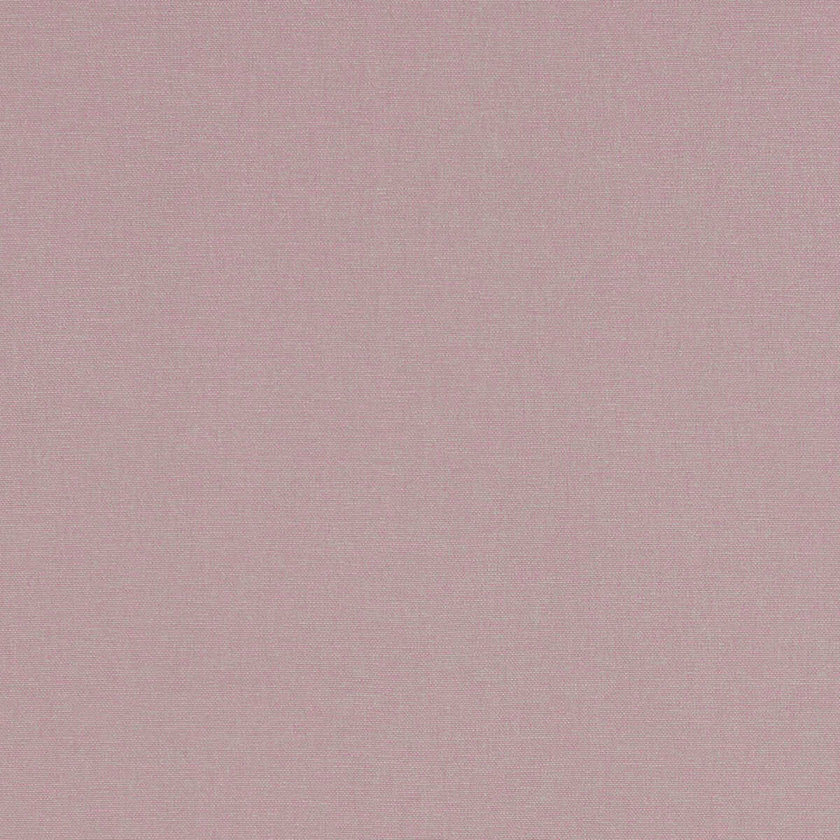 Alora - Heather