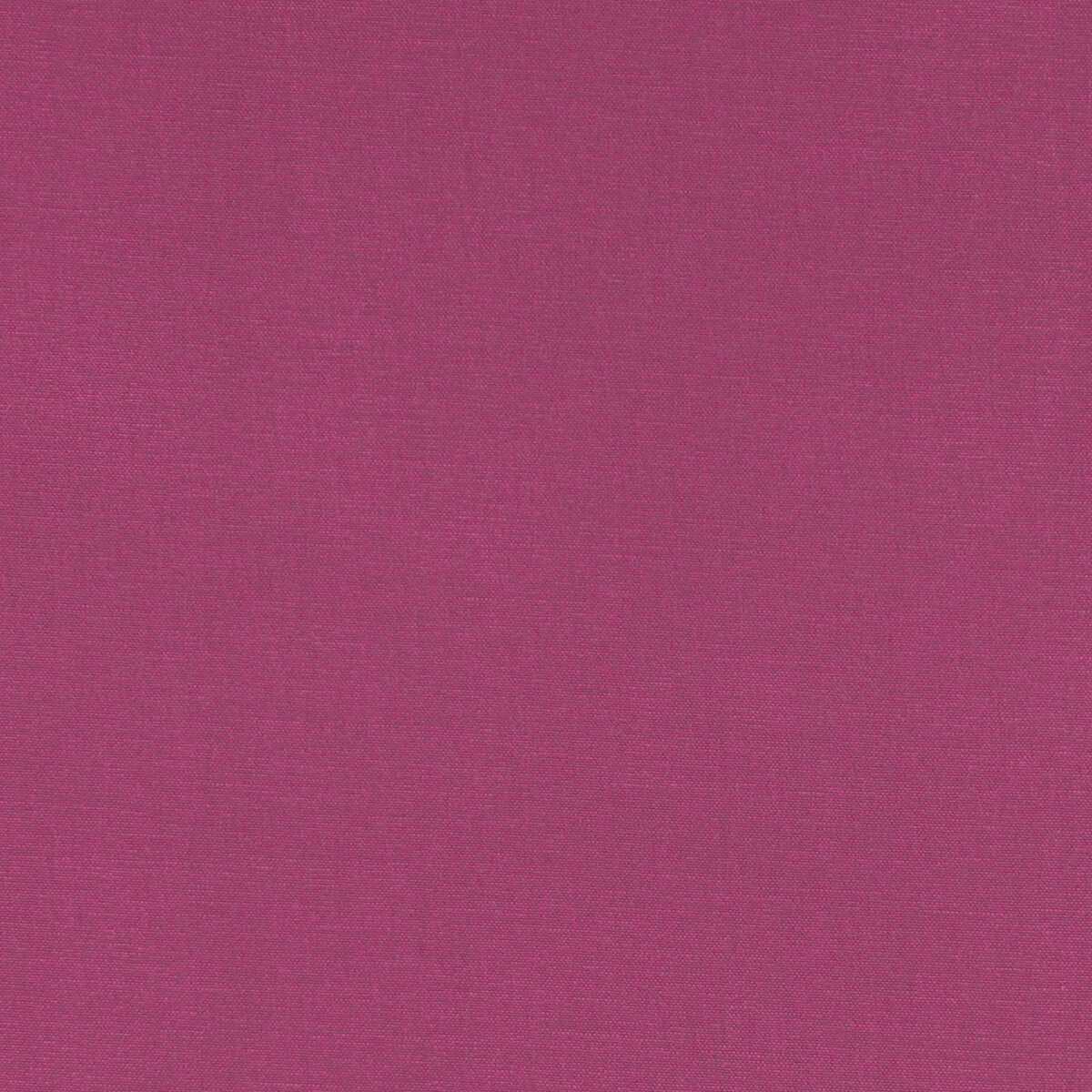 Alora - Magenta