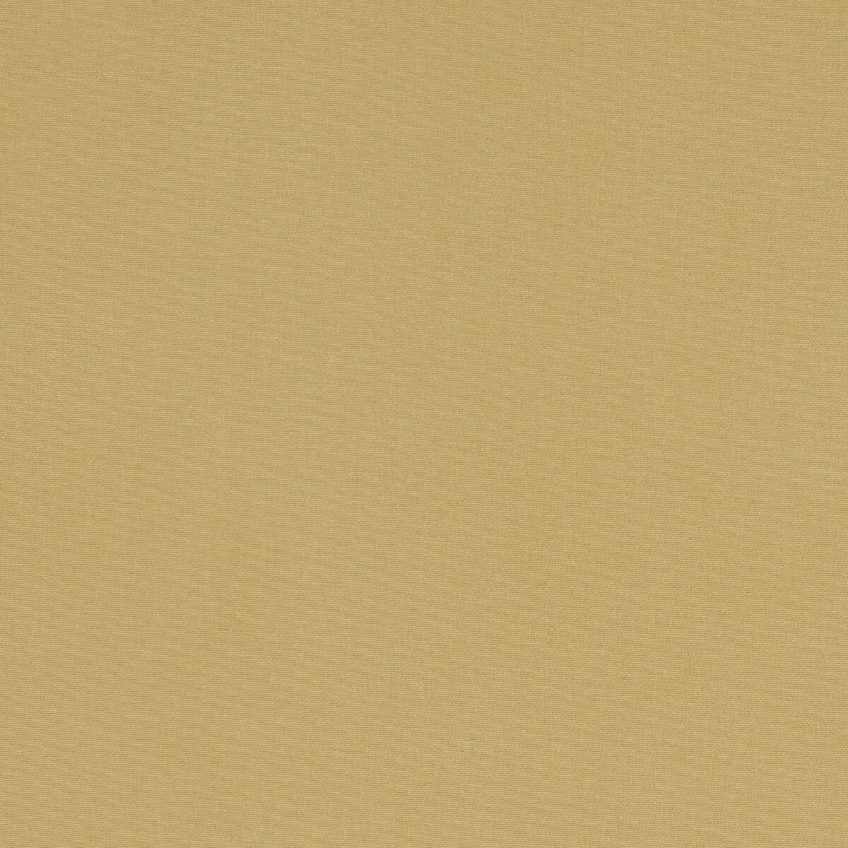 Alora - Malt