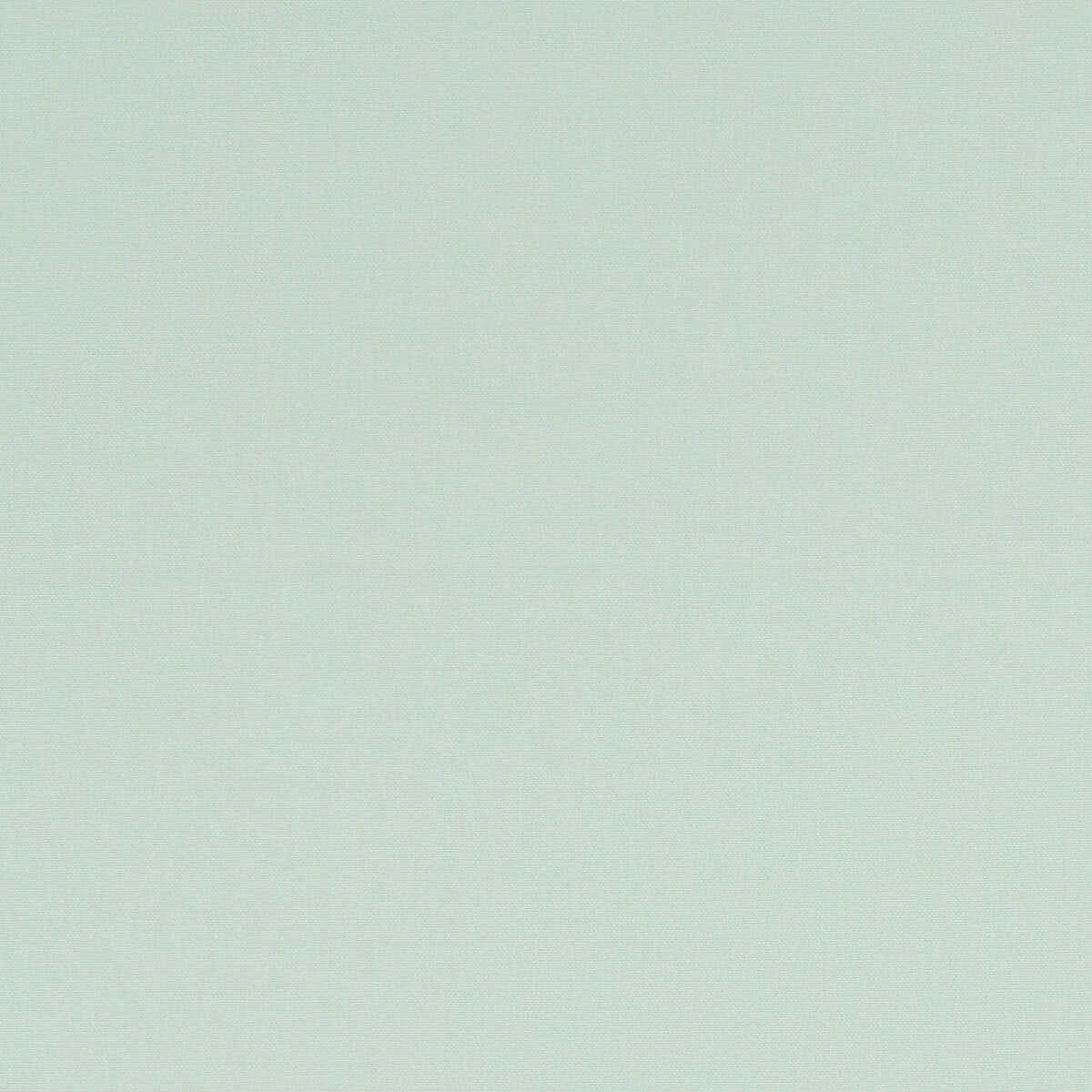 Alora - Mint
