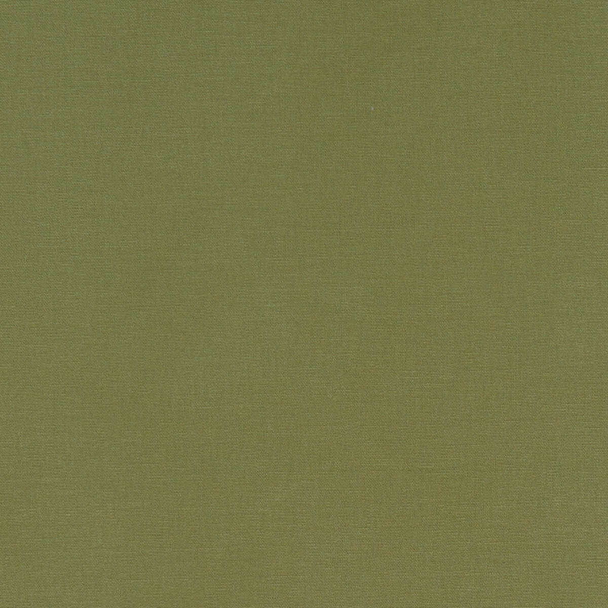 Alora - Moss