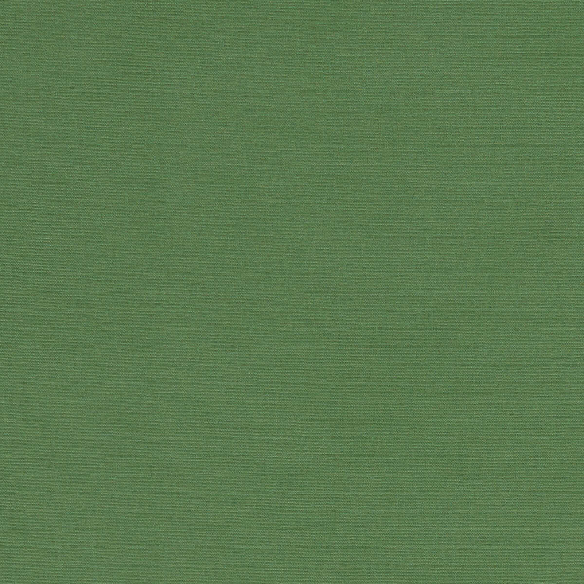 Alora - Palm