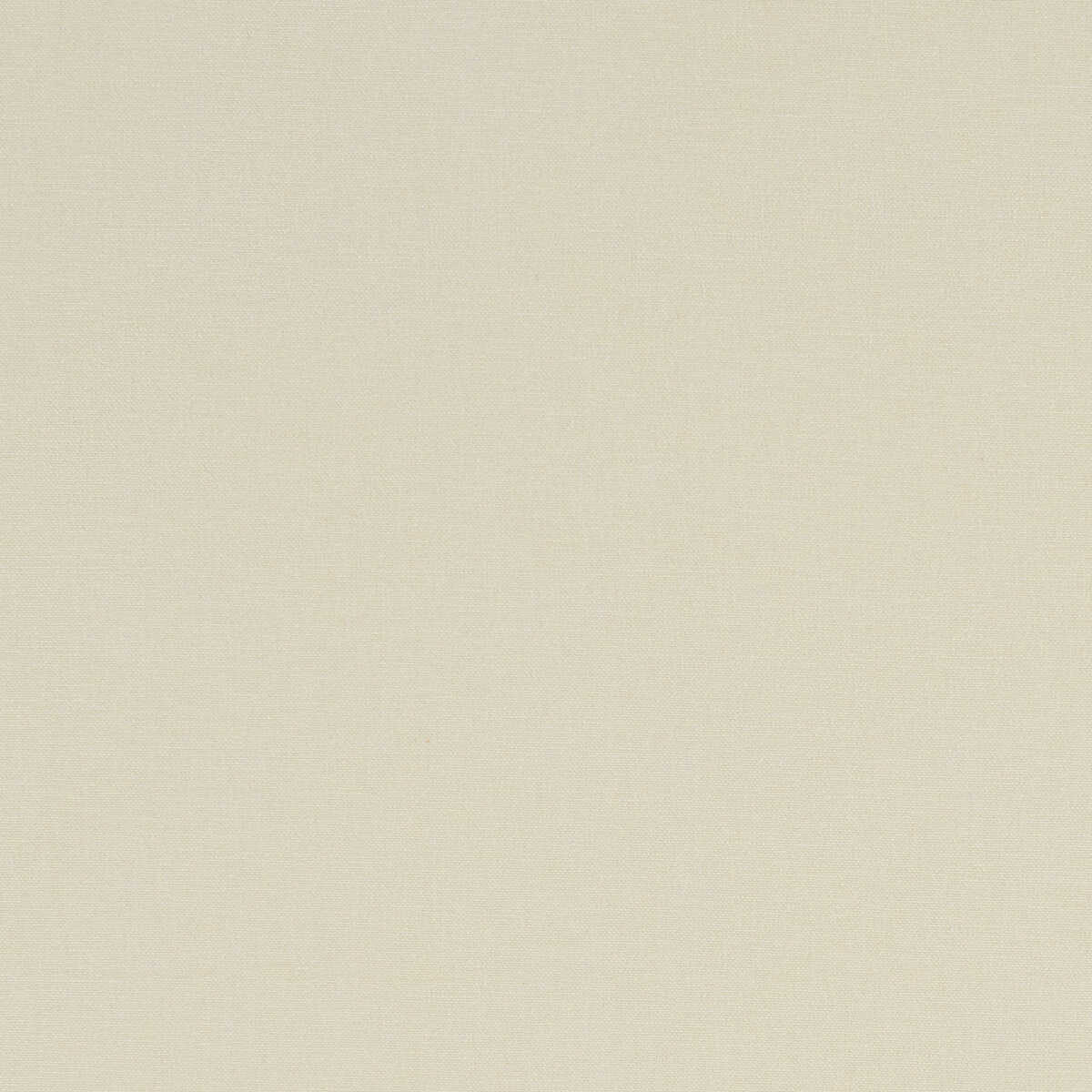 Alora - Parchment