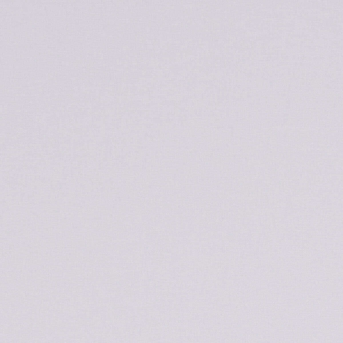 Alora - Petal