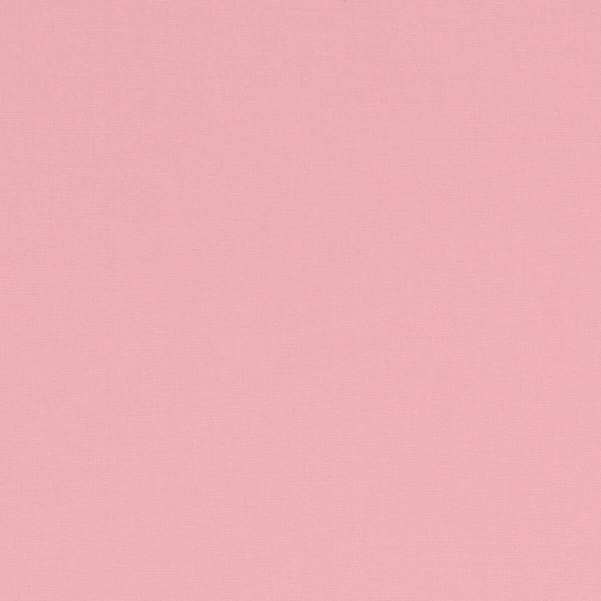 Alora - Pink