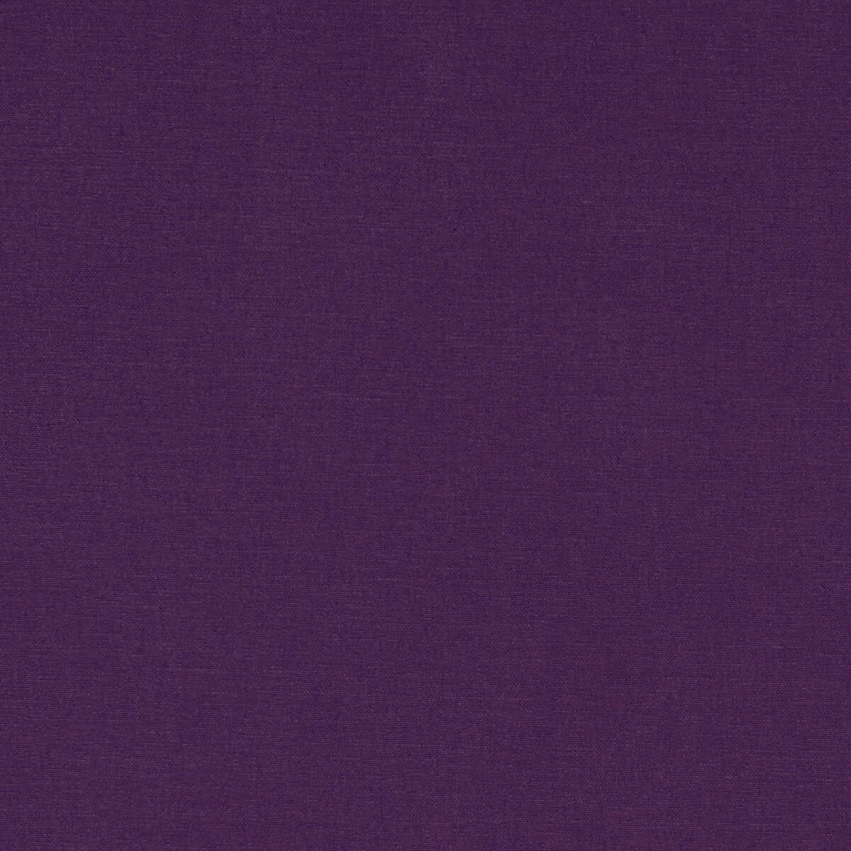 Alora - Plum