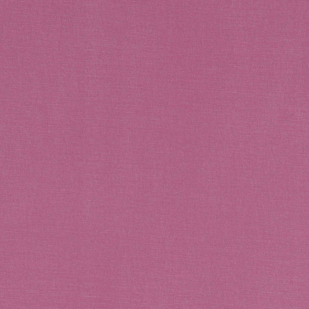 Alora - Sorbet