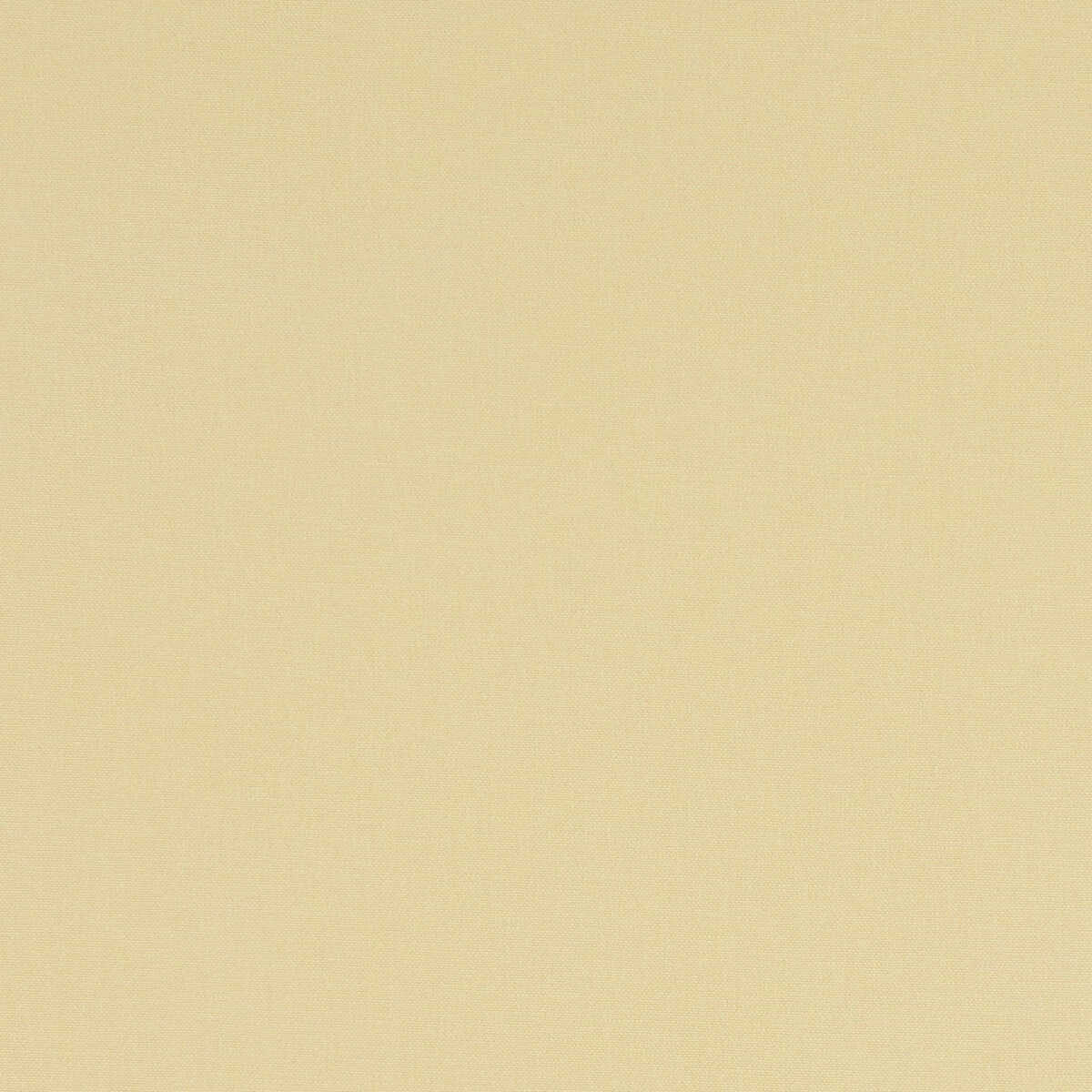 Alora - Straw