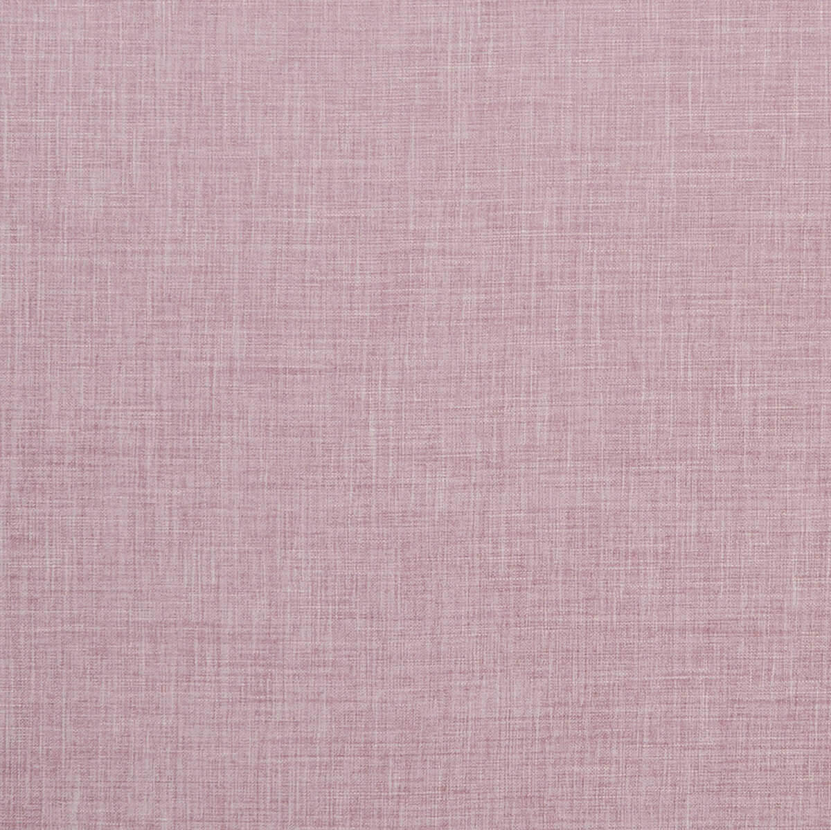 Albany - Blush