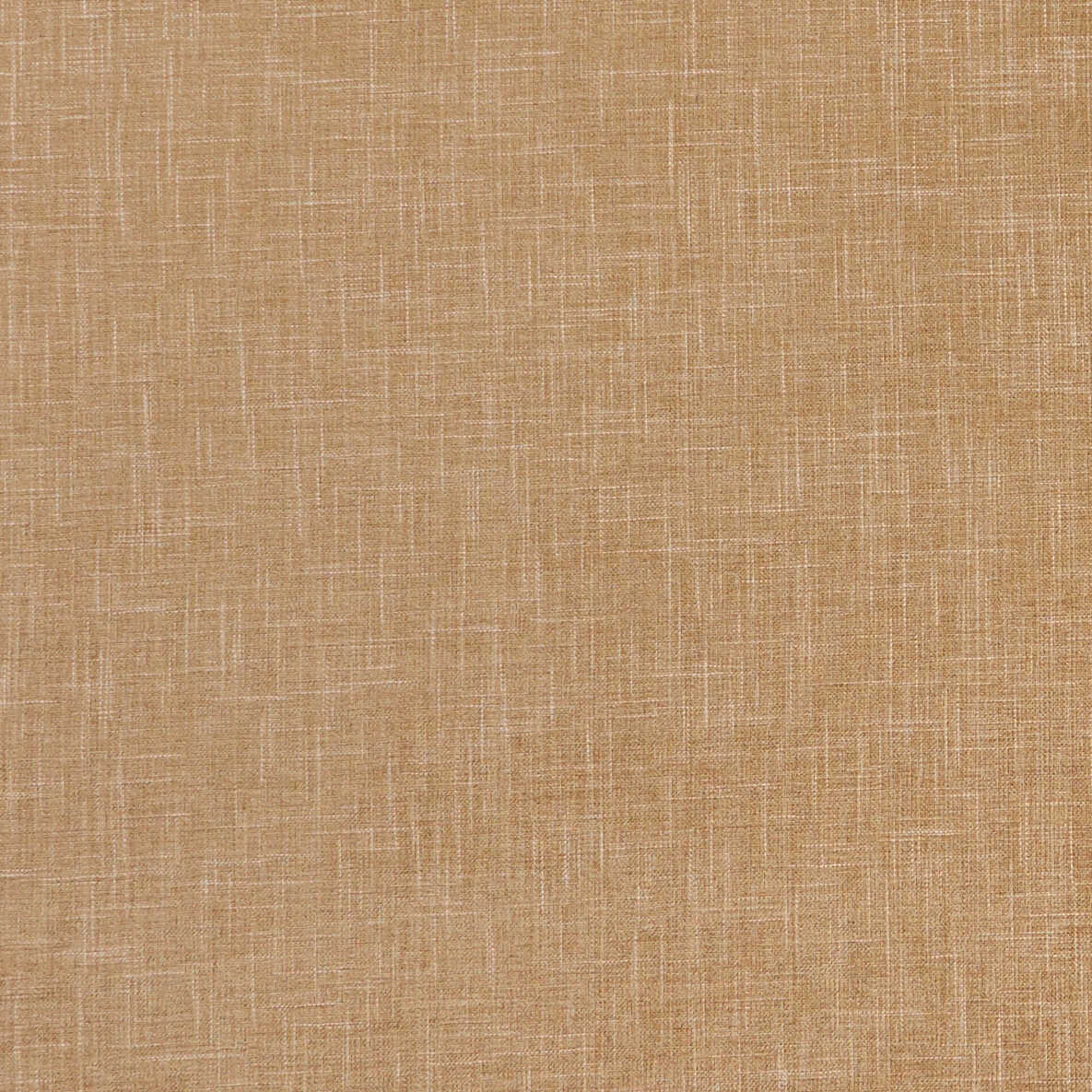 Albany - Pecan