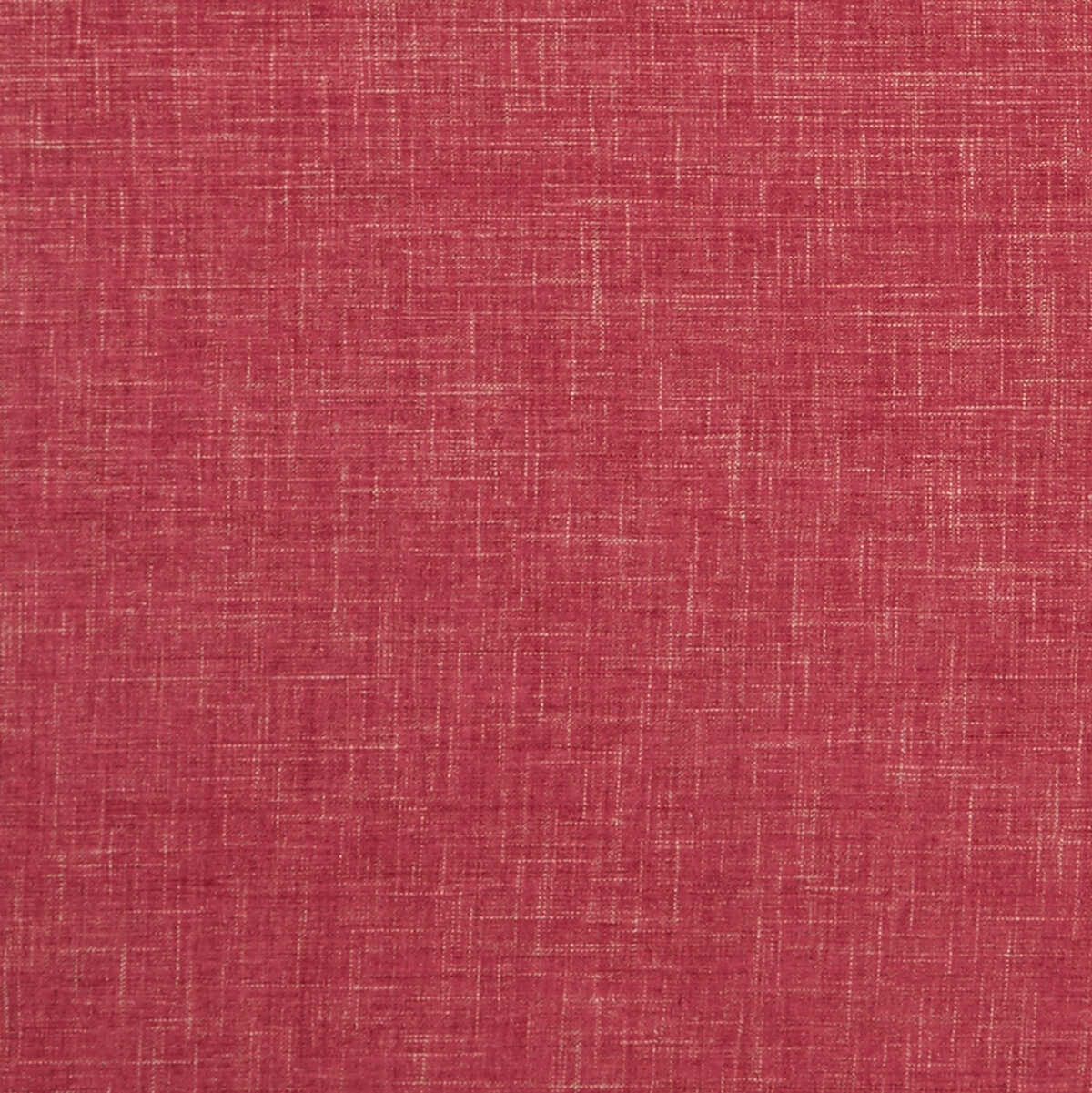 Albany - Raspberry
