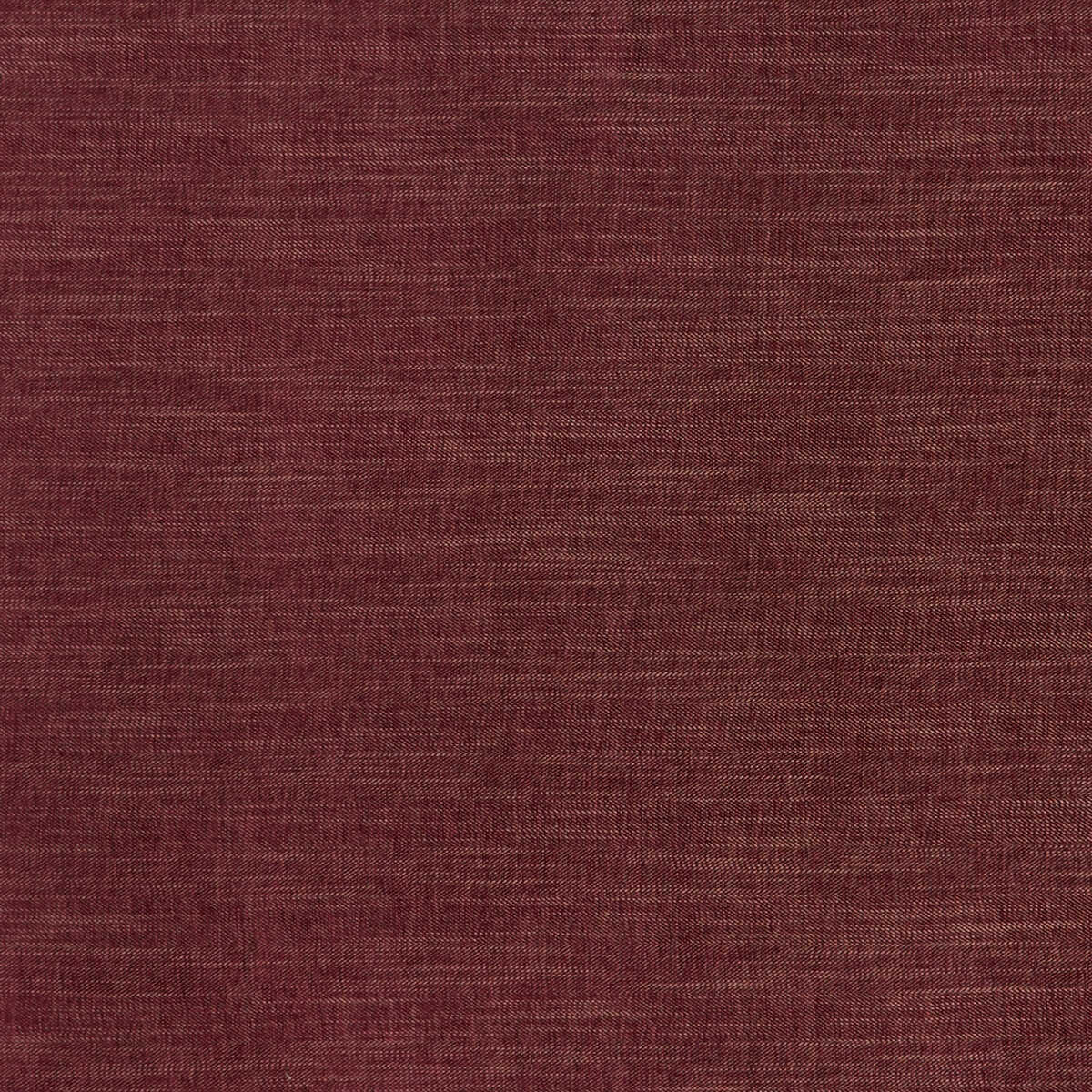 Moray - Damson