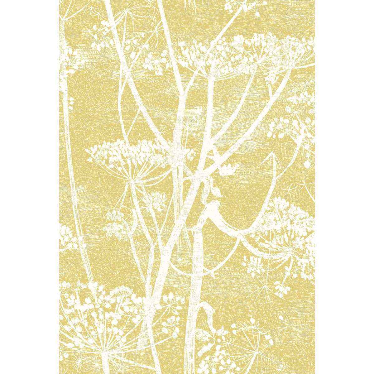 F1115020cs0 Cow Parsley Linen Print White Chartre Cole Son Fabric
