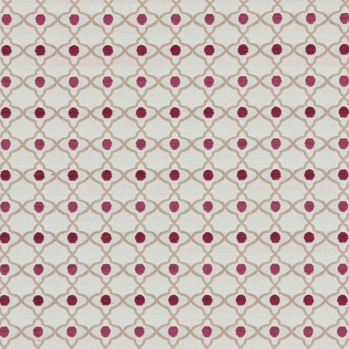 Venus - Raspberry