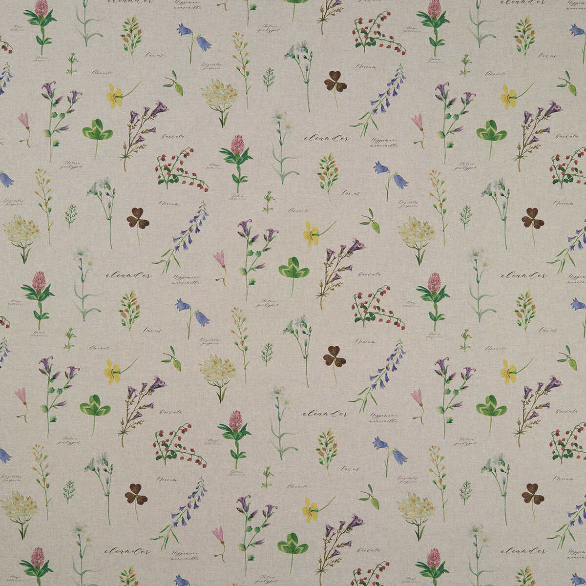 Nerium - Linen