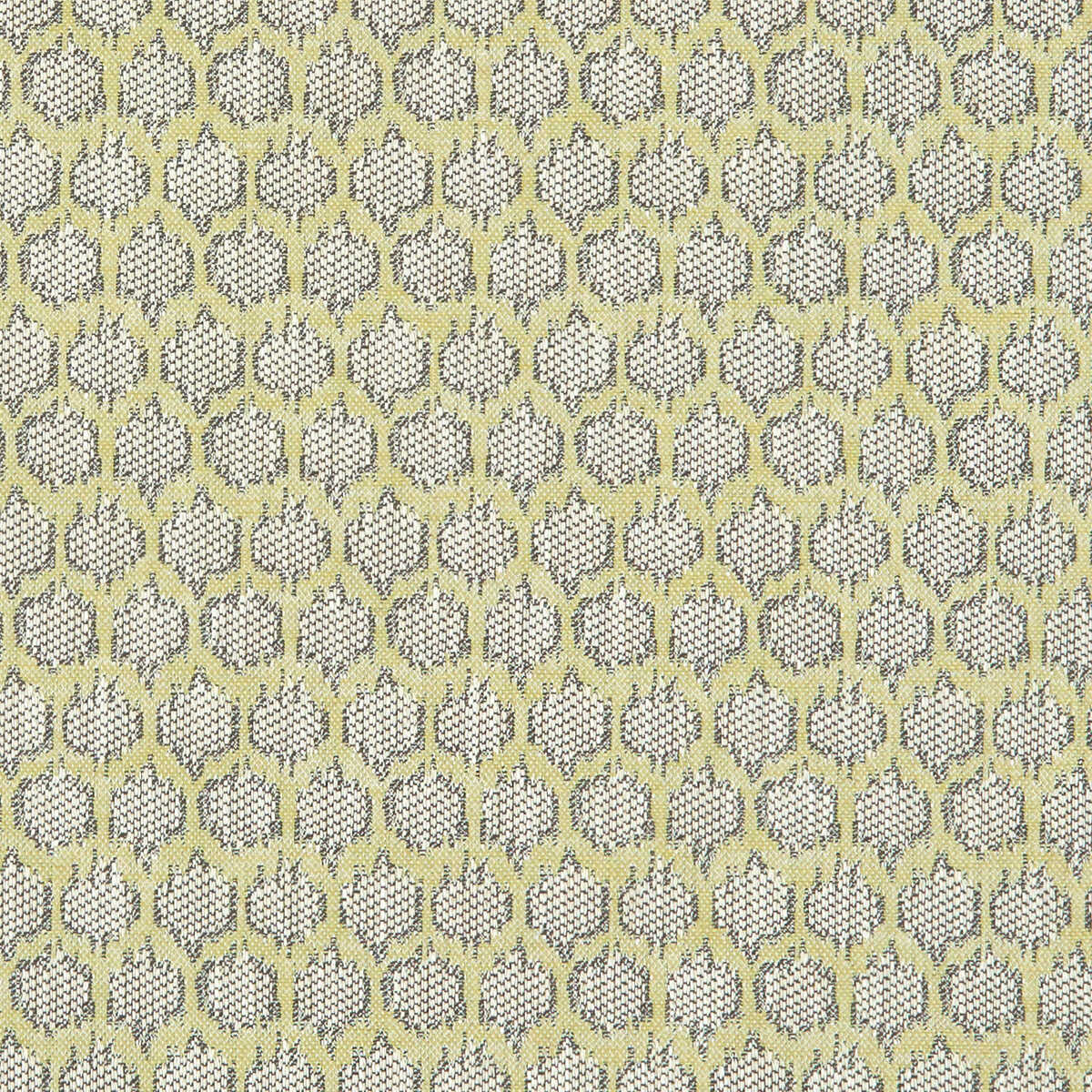 Dorset - Citron