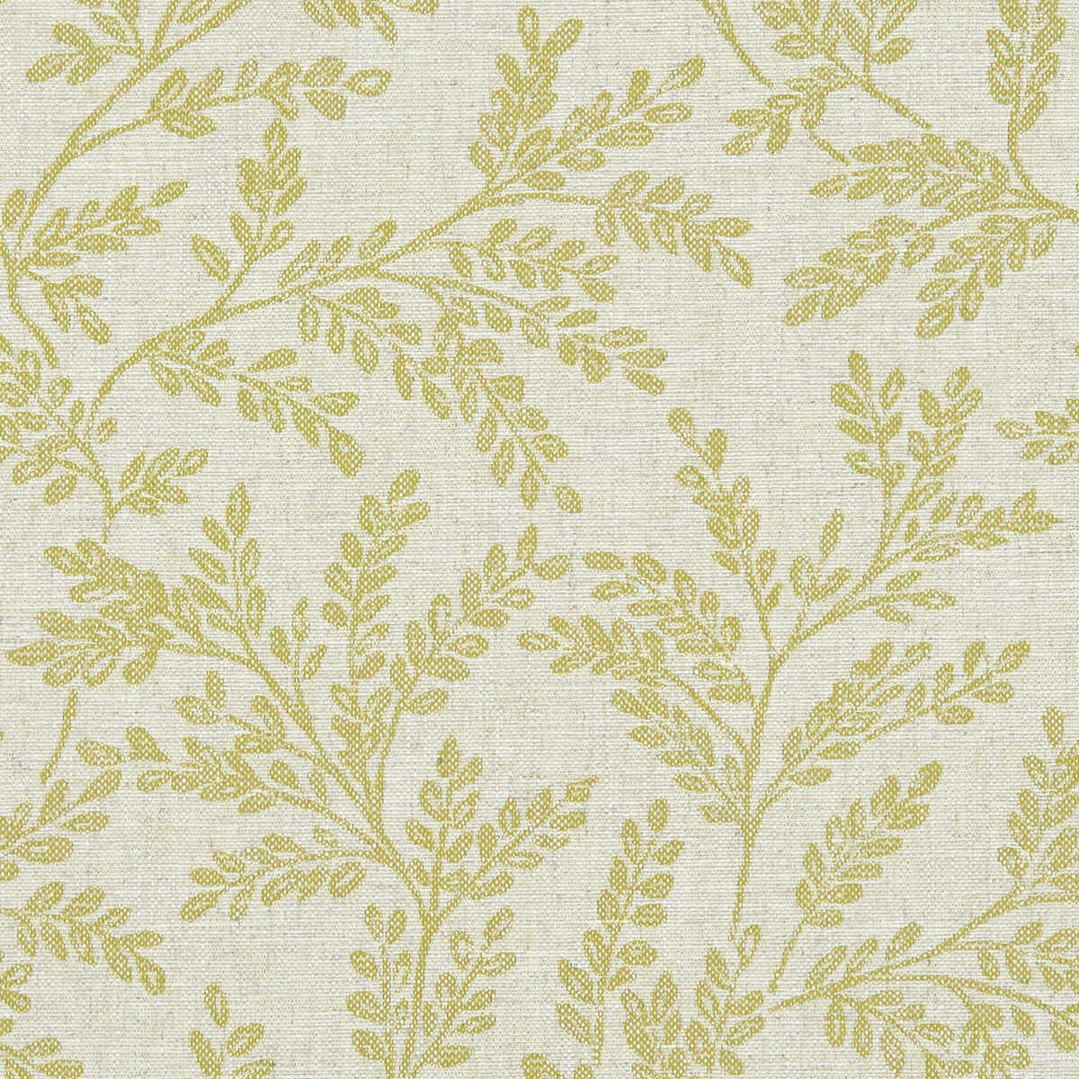 Ferndown - Citron