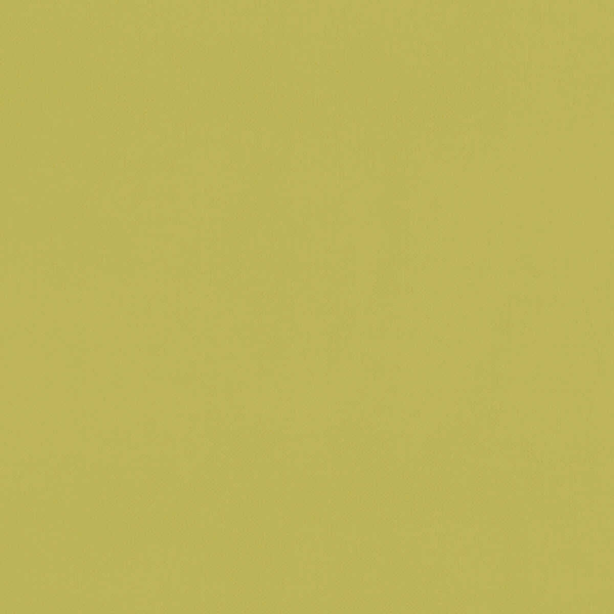 Renzo - Citrus - CLARKE AND CLARKE Fabric