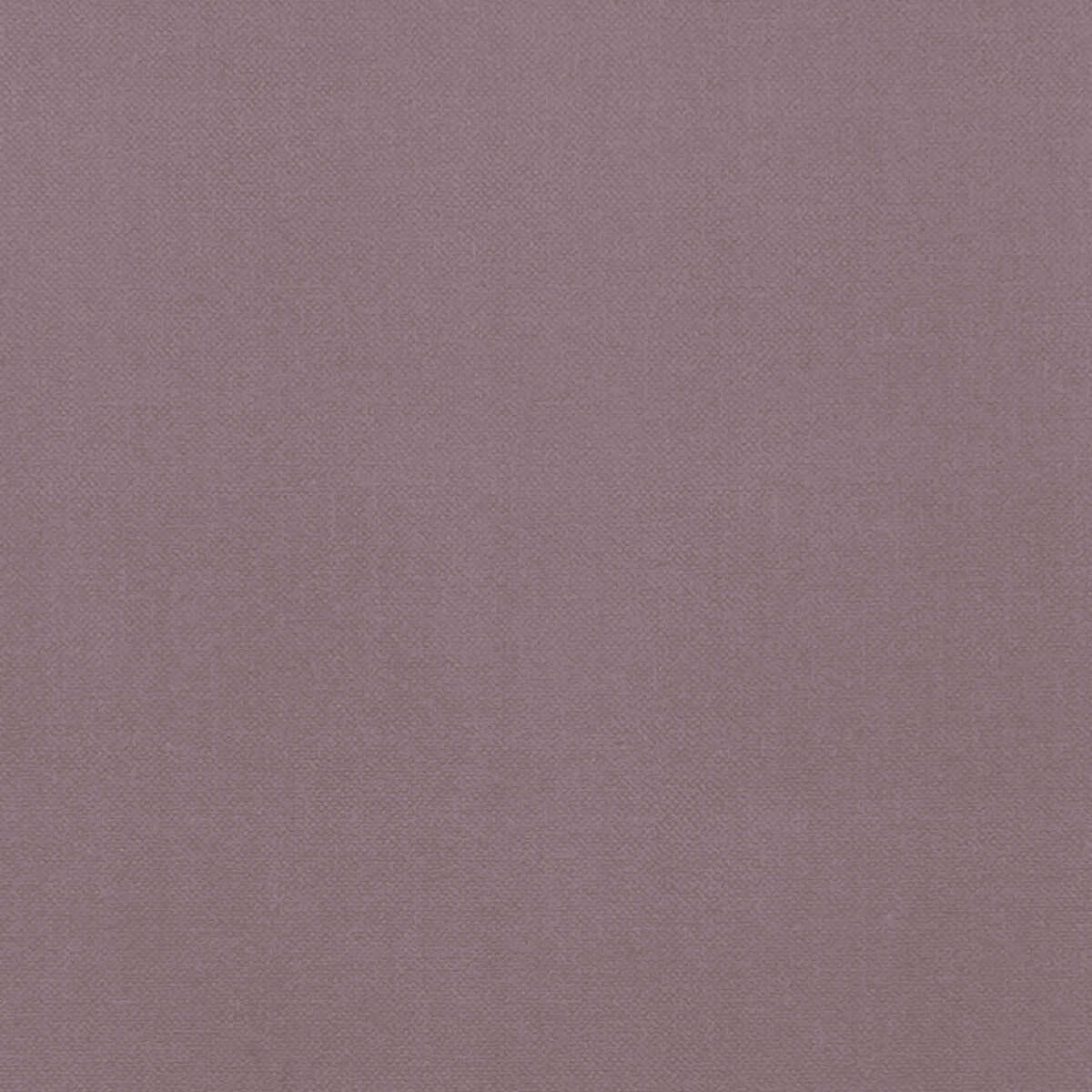 Renzo - Heather - CLARKE AND CLARKE Fabric