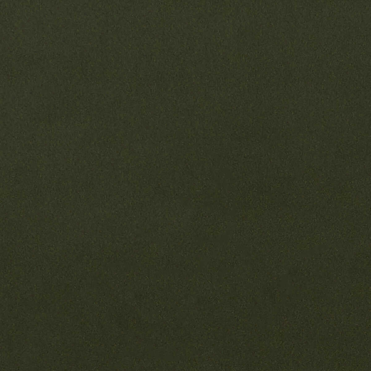 Lucca - Chive