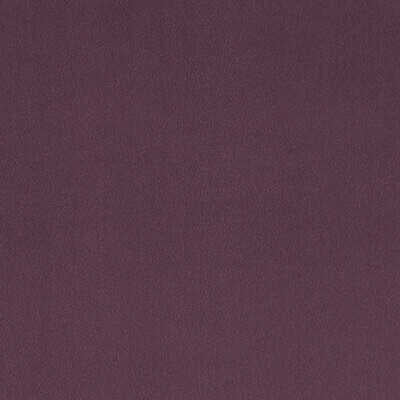 Lucca - Heather