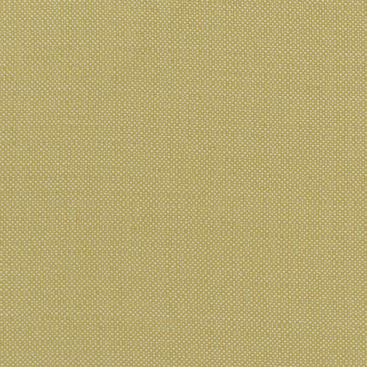 Kauai - Citron - CLARKE AND CLARKE Fabric