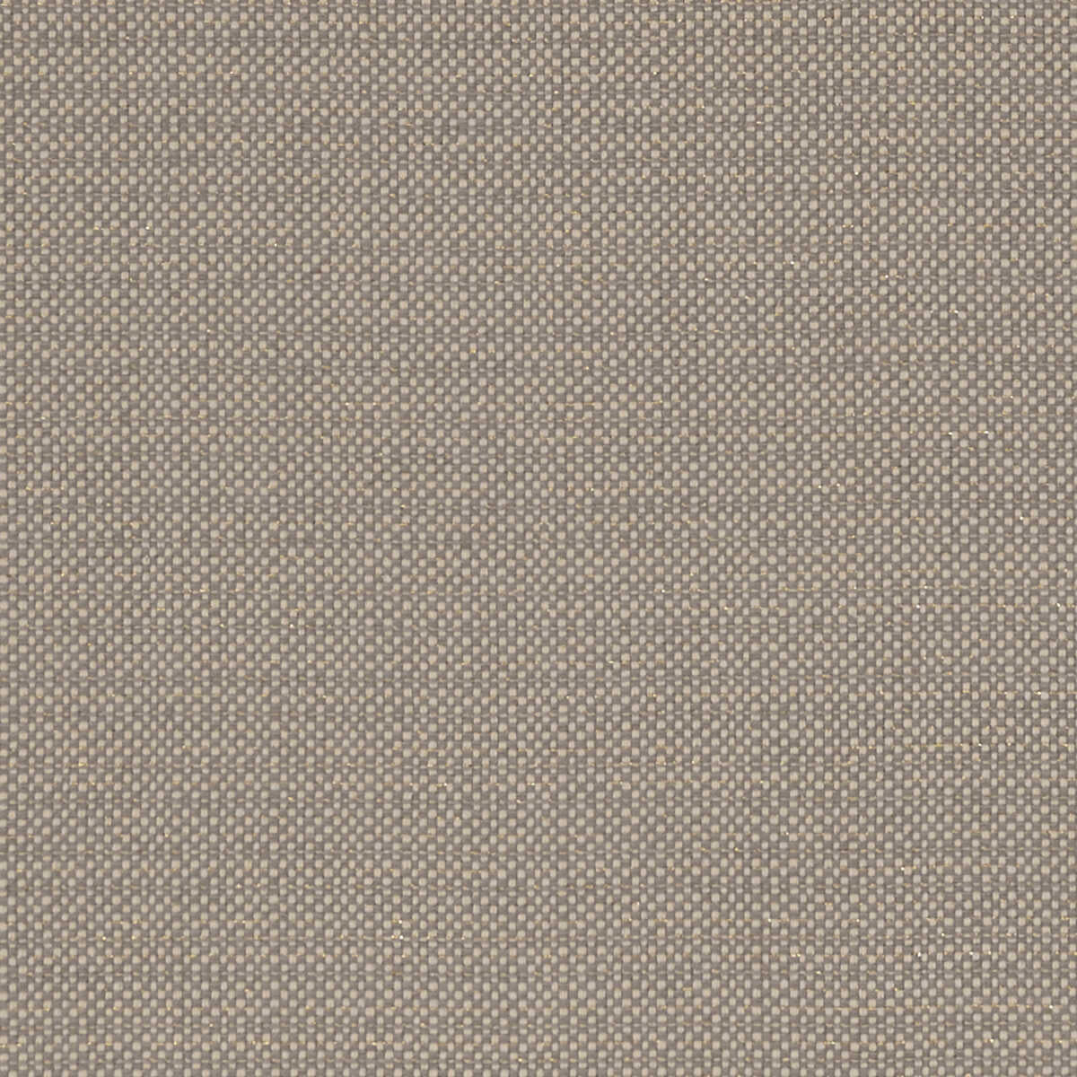 Kauai - Mocha - CLARKE AND CLARKE Fabric