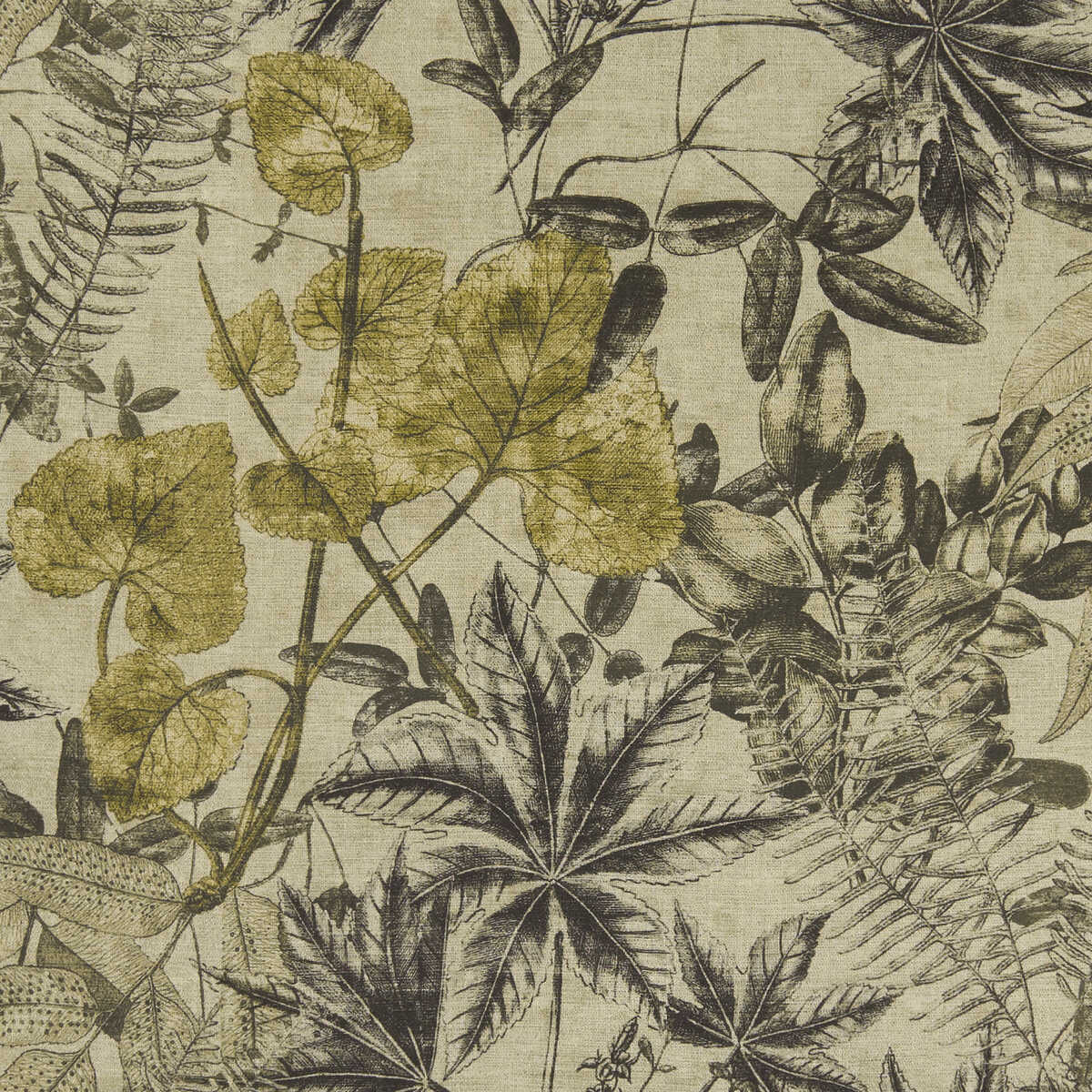 Madagascar - Charcoal/Charteuse - CLARKE AND CLARKE Fabric