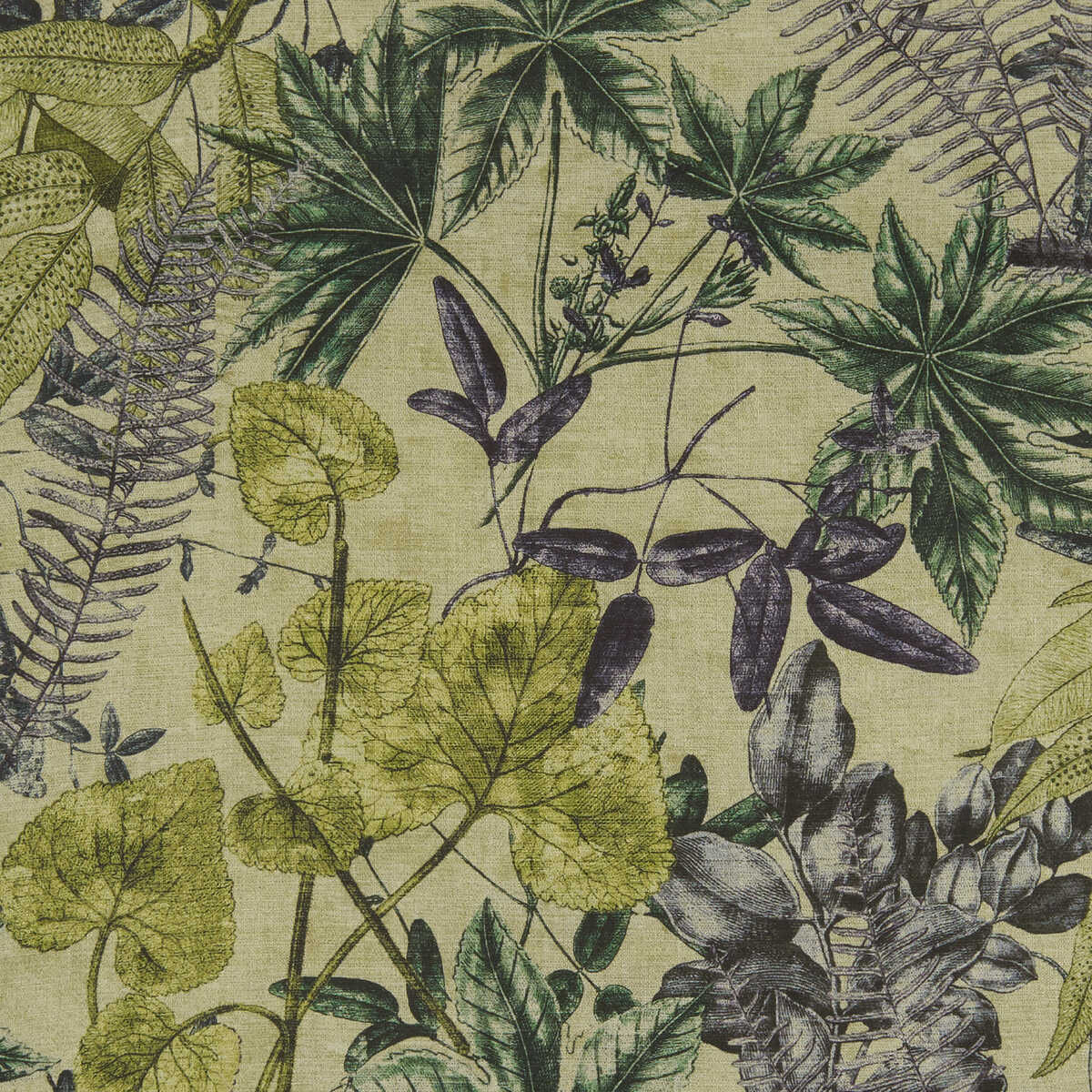 Madagascar - Forest - CLARKE AND CLARKE Fabric