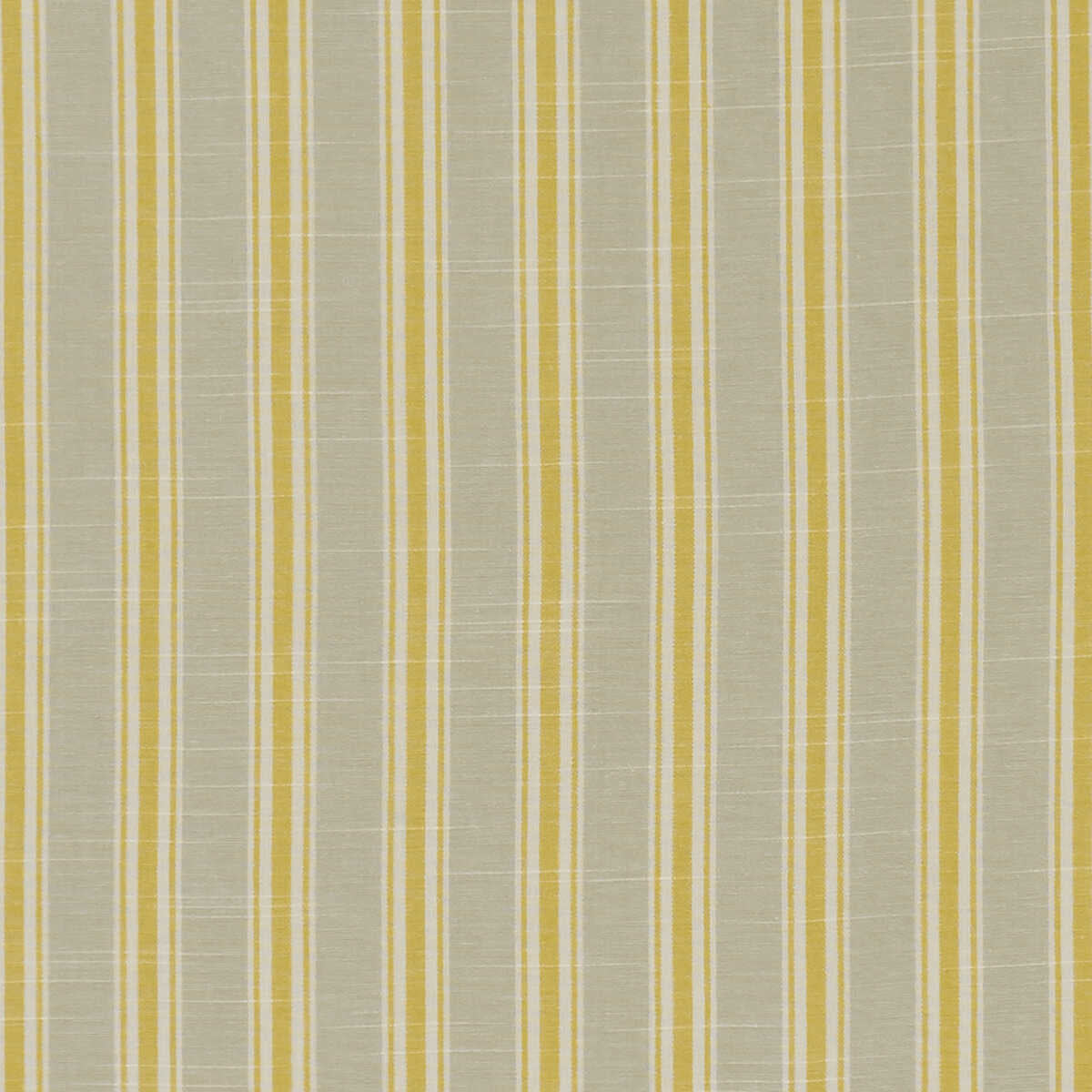 Thornwick - Citrus - CLARKE AND CLARKE Fabric
