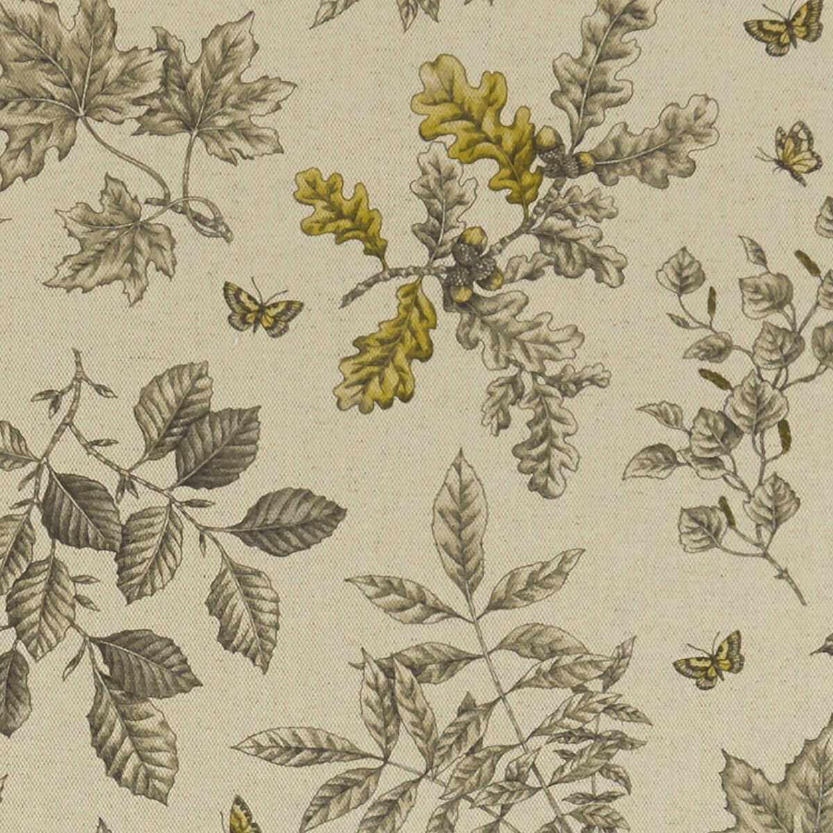 Hortus - Charcoal/Ochre - CLARKE AND CLARKE Fabric
