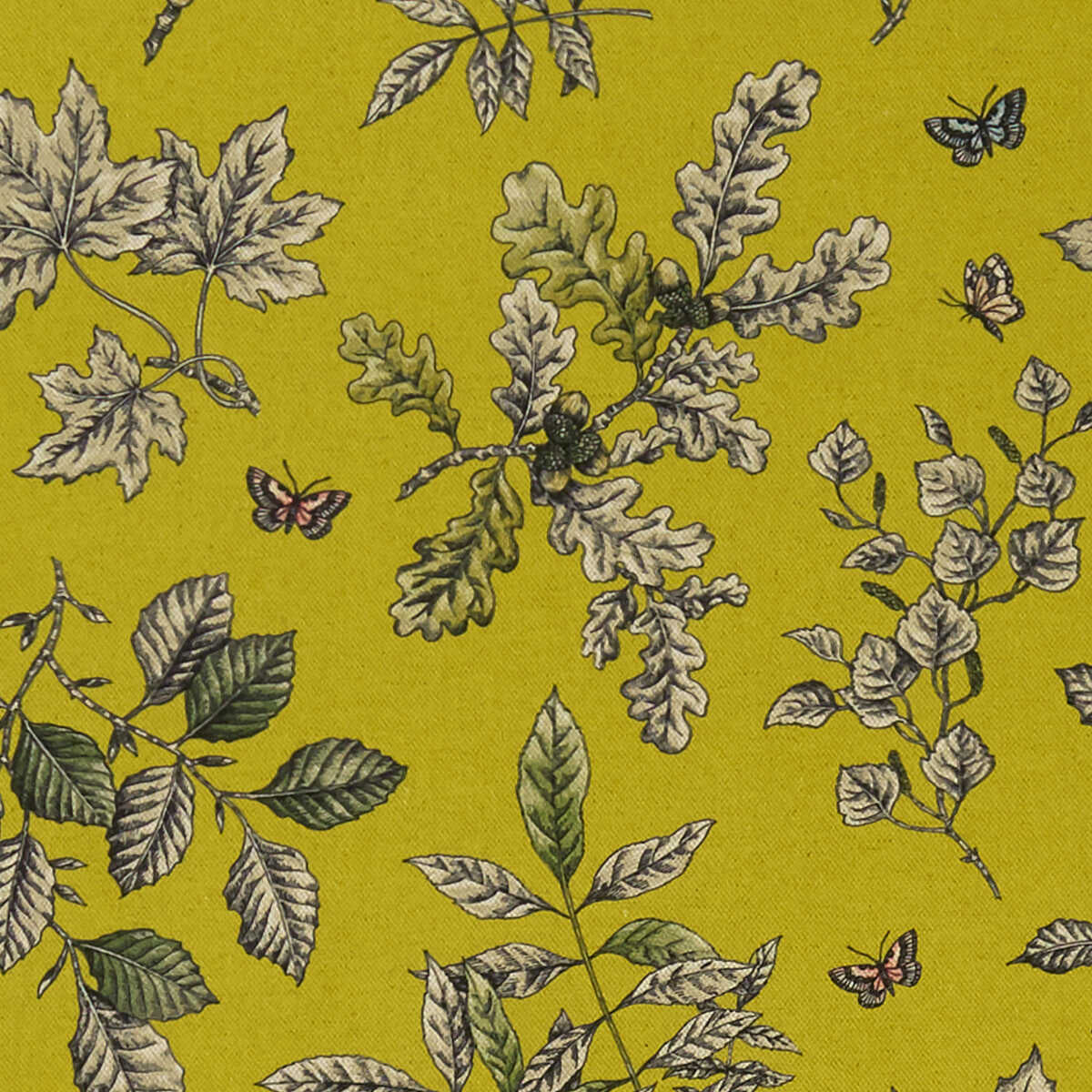 Hortus - Chartreuse - CLARKE AND CLARKE Fabric