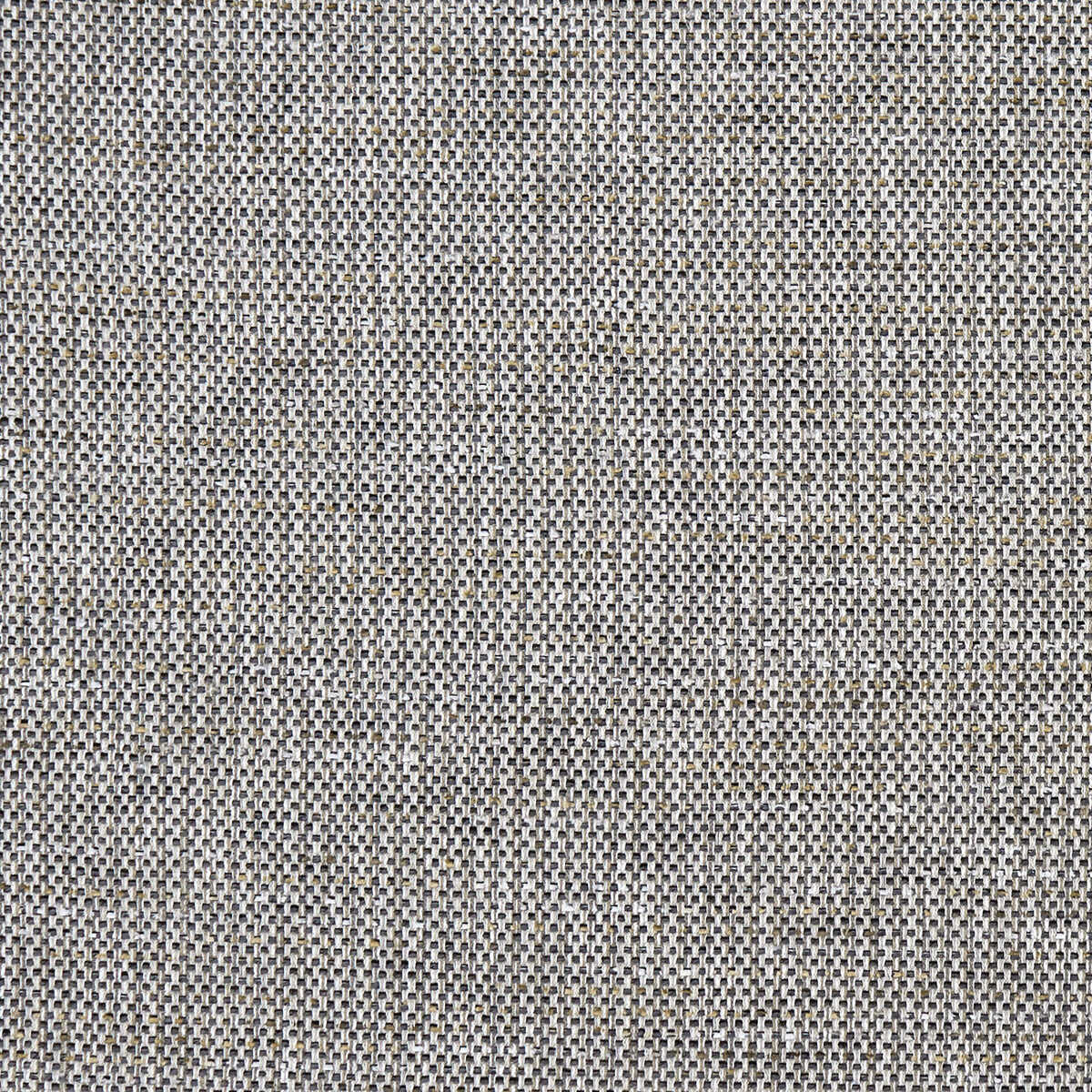 Louis - Charcoal - CLARKE AND CLARKE Fabric