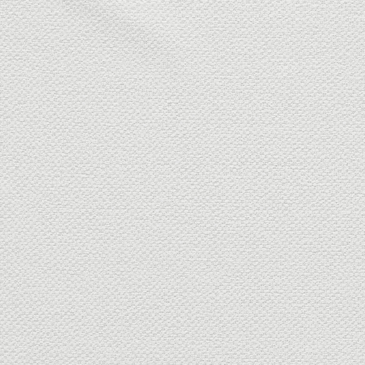 Filum - Polar - CLARKE AND CLARKE Fabric
