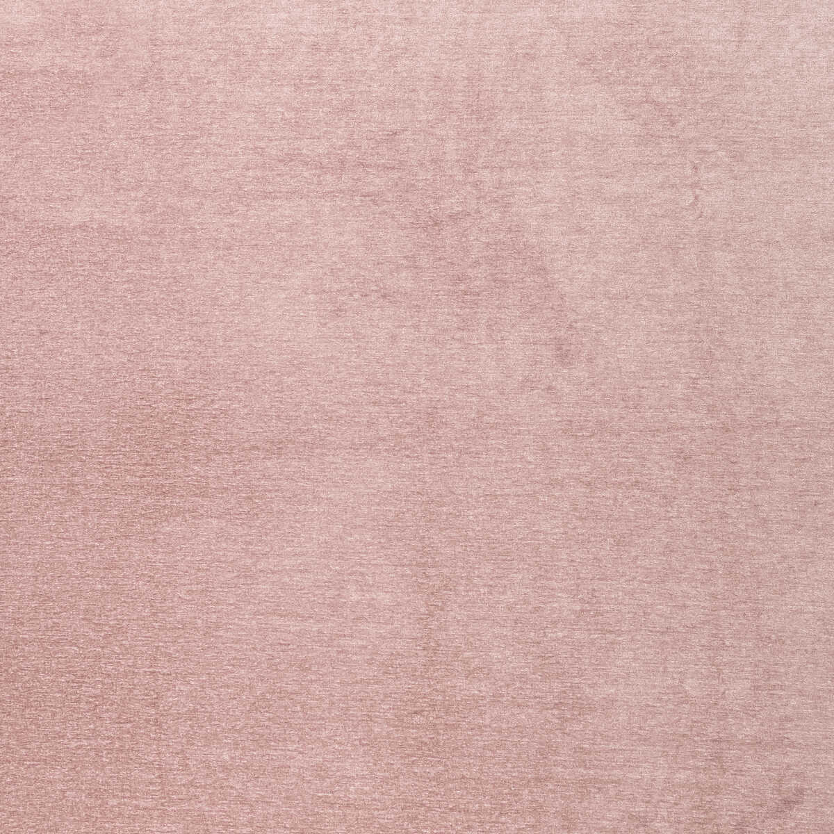 Maculo - Blush - CLARKE AND CLARKE Fabric