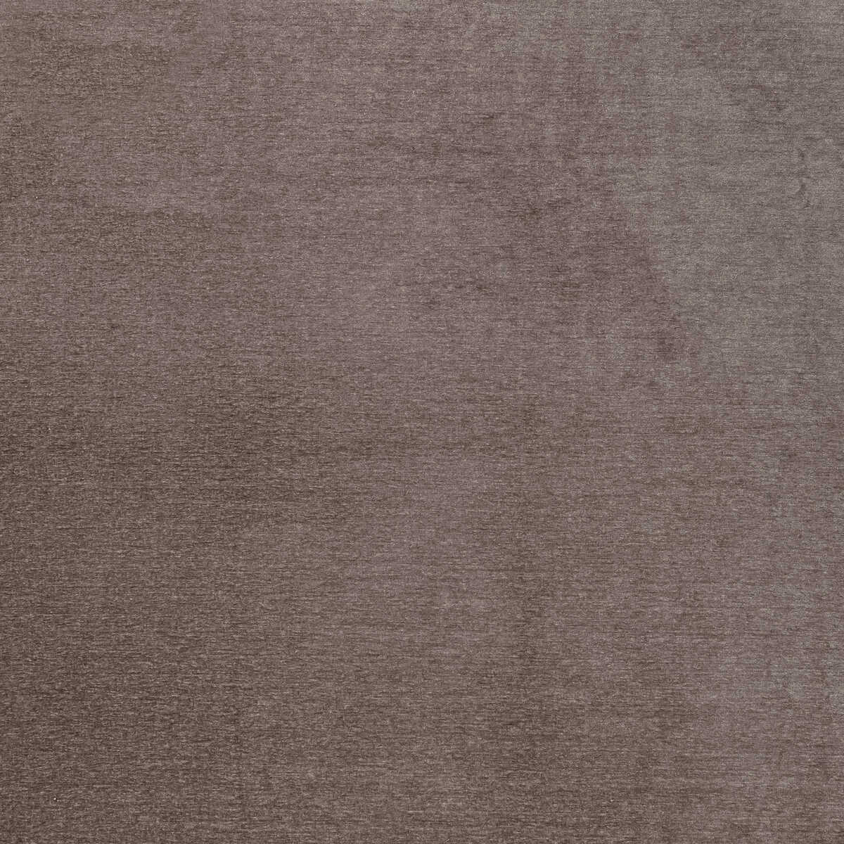 Maculo - Heather - CLARKE AND CLARKE Fabric