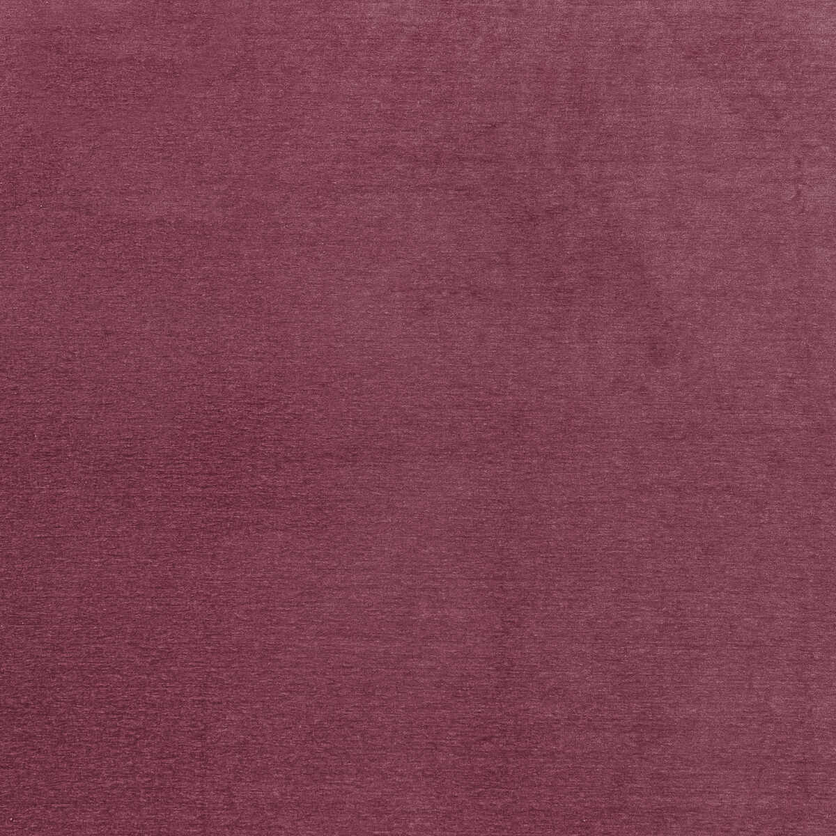Maculo - Raspberry